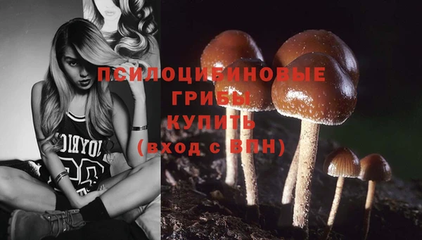 шишки Волоколамск